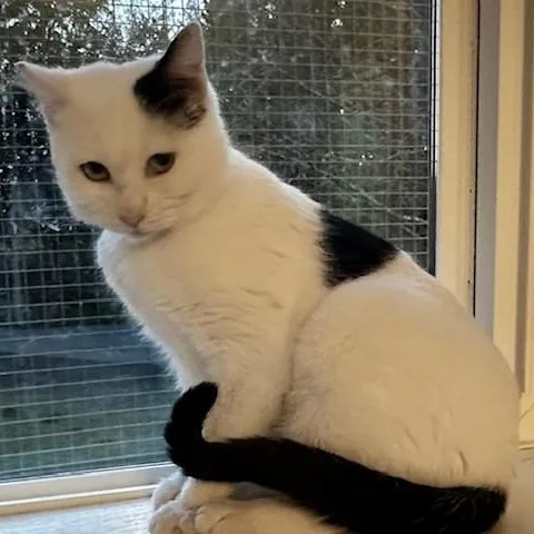 Fiona  Lovely Big thumbnail 4