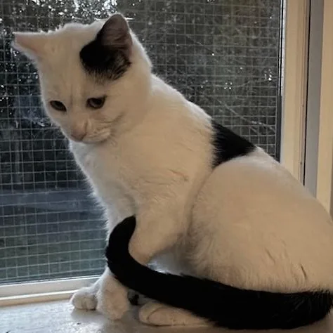 Fiona  Lovely Big thumbnail 5