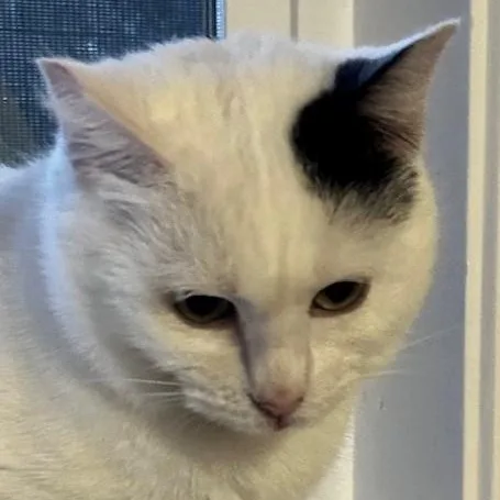 Fiona  Lovely Big thumbnail 6