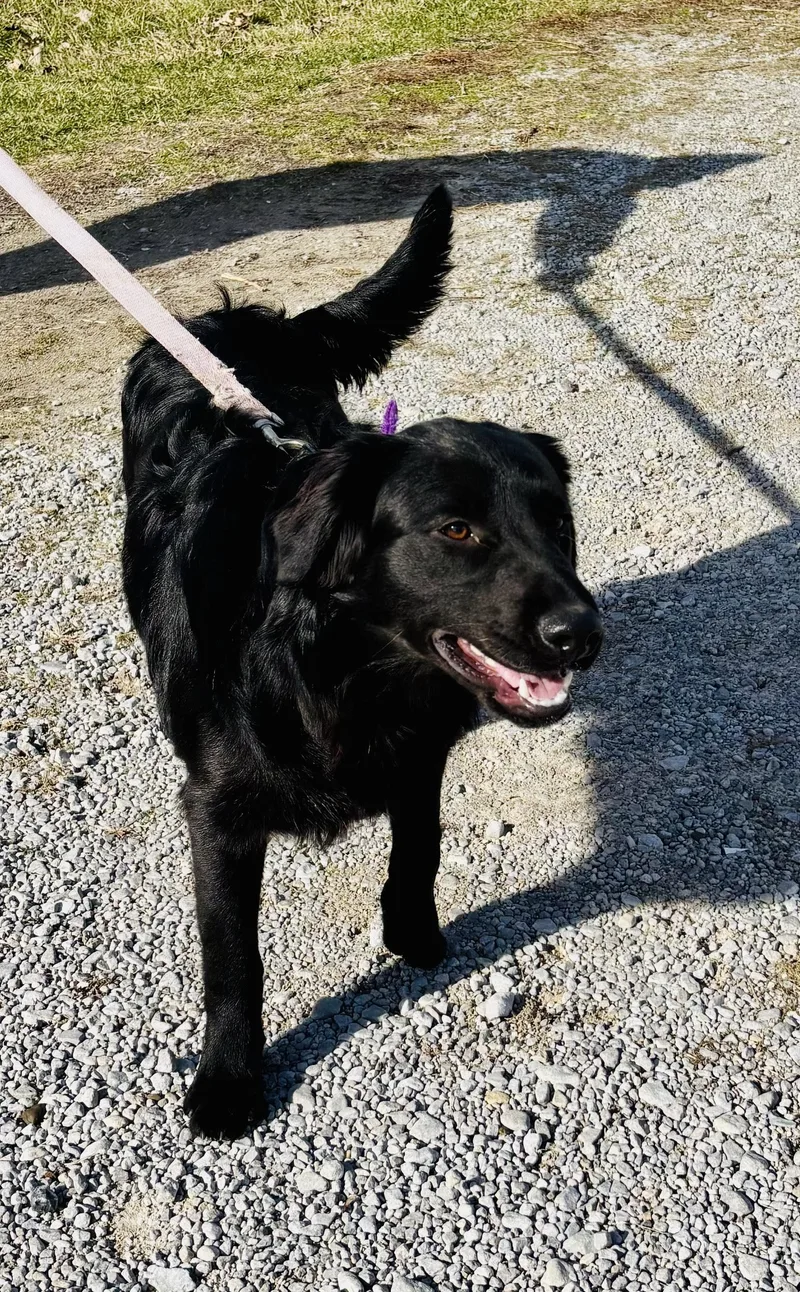 Boulder! thumbnail 2