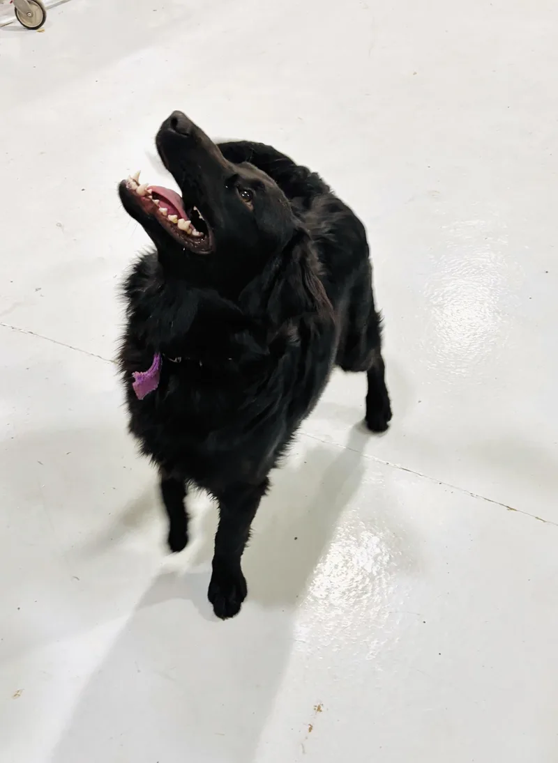 Boulder! thumbnail 3