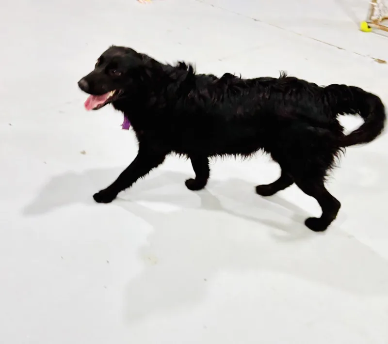 Boulder! thumbnail 5