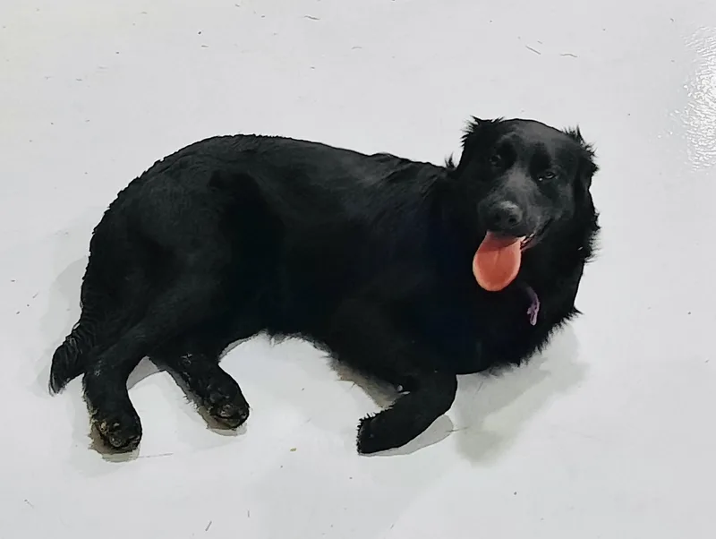 Boulder! thumbnail 6