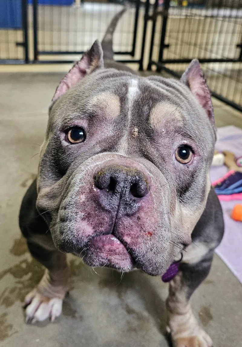 Tysonsponsored Fee! thumbnail 2