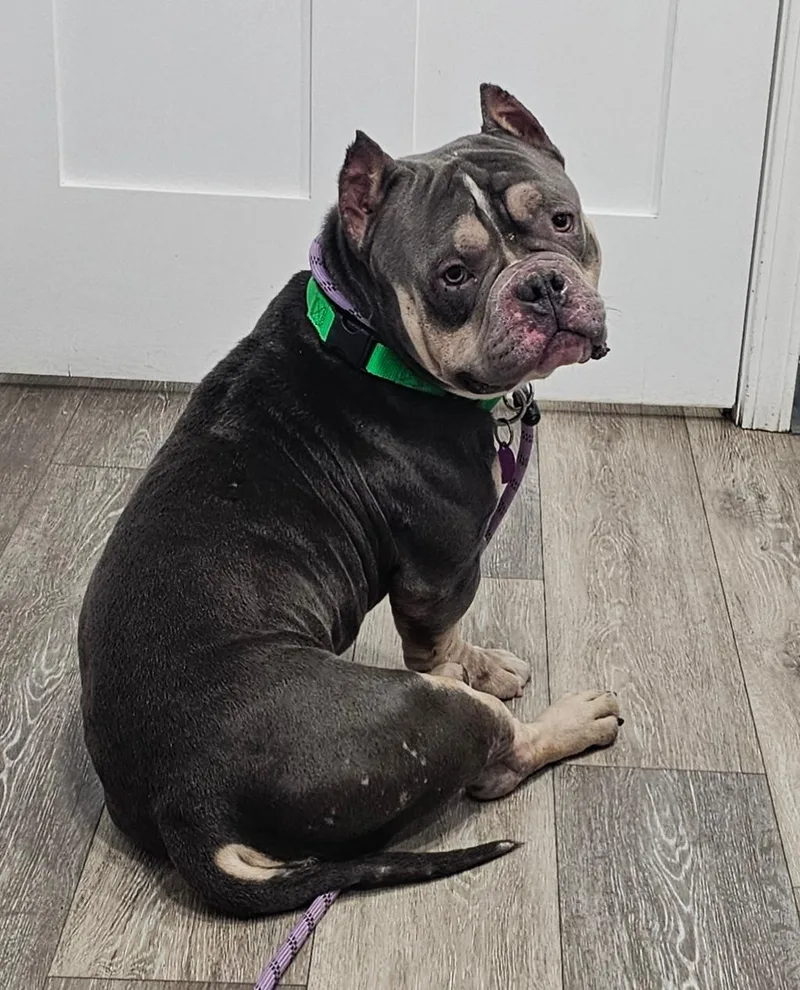 Tysonsponsored Fee! thumbnail 3