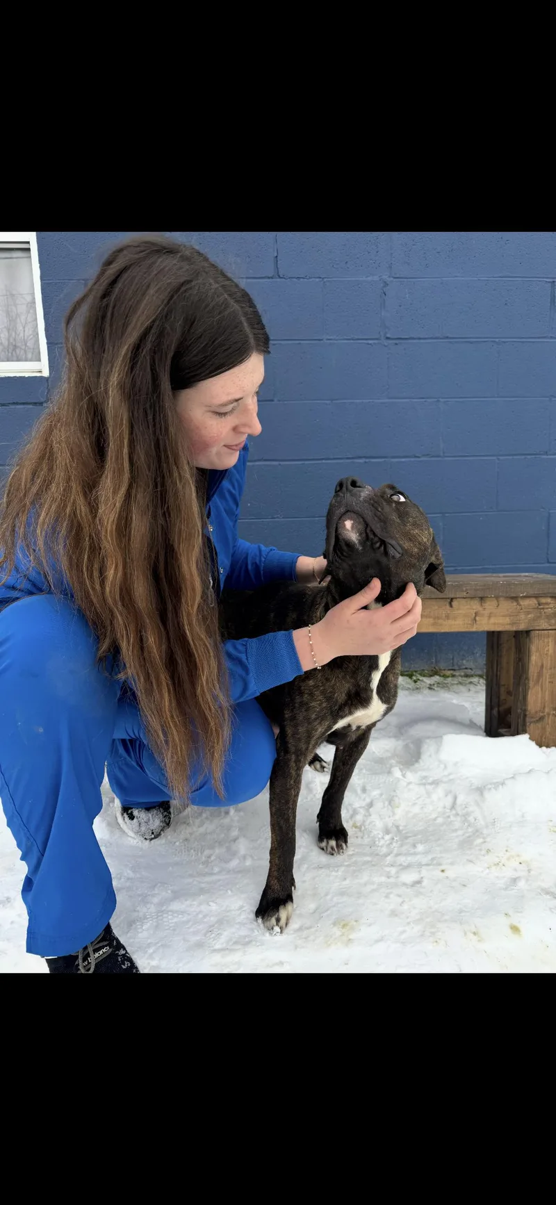 Cassiopeia thumbnail 2