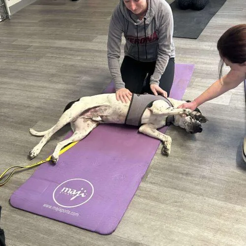 Bestest Boy Buddy thumbnail 5