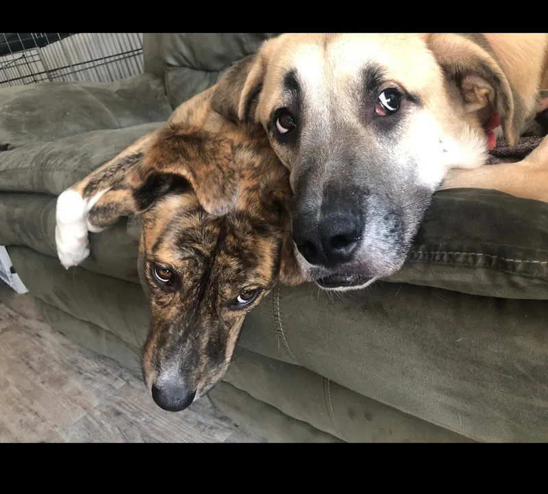 R Harper thumbnail 2