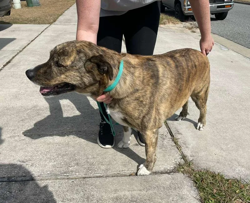 R Harper thumbnail 3