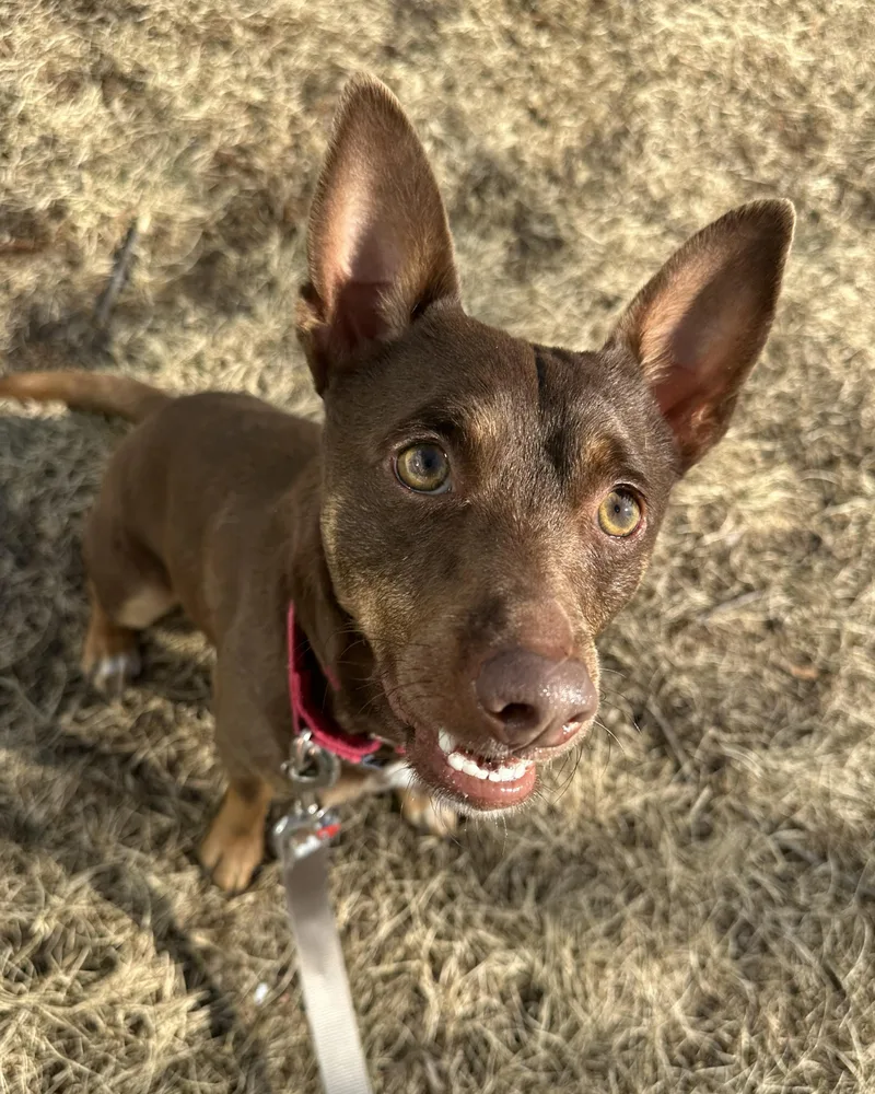 Jackie Chan thumbnail 2