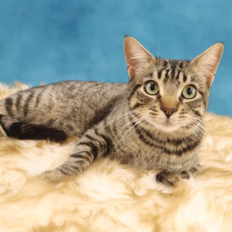 Jag  Handsome Loverboy!