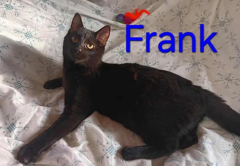 Uncle Frank thumbnail 2