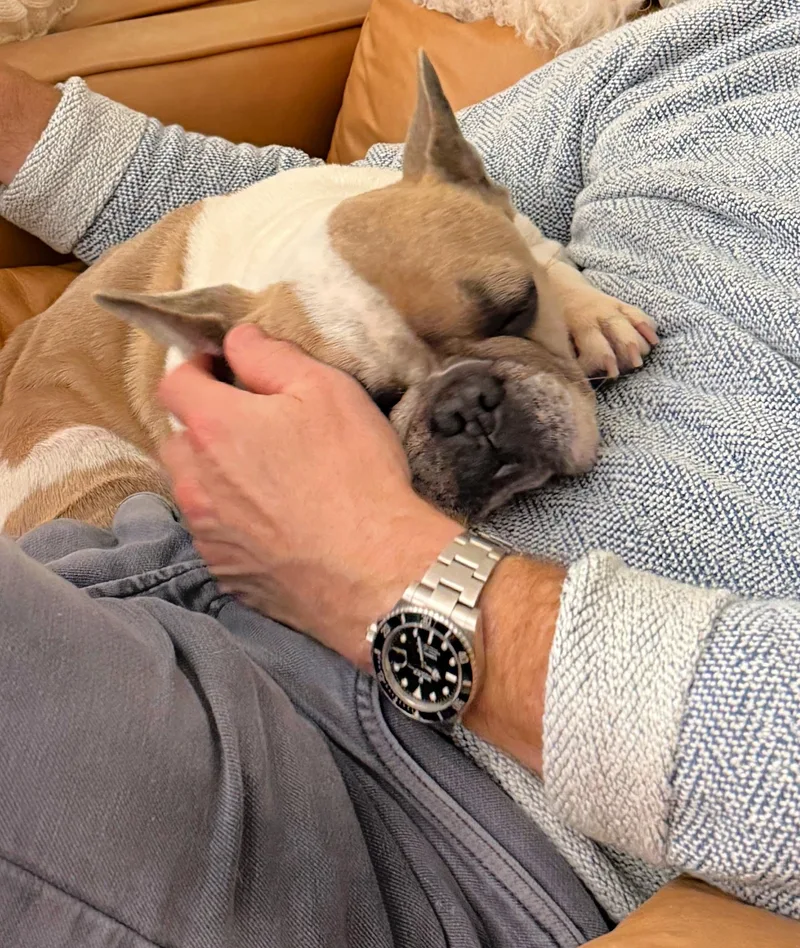 Romy Loves To Cuddle thumbnail 3