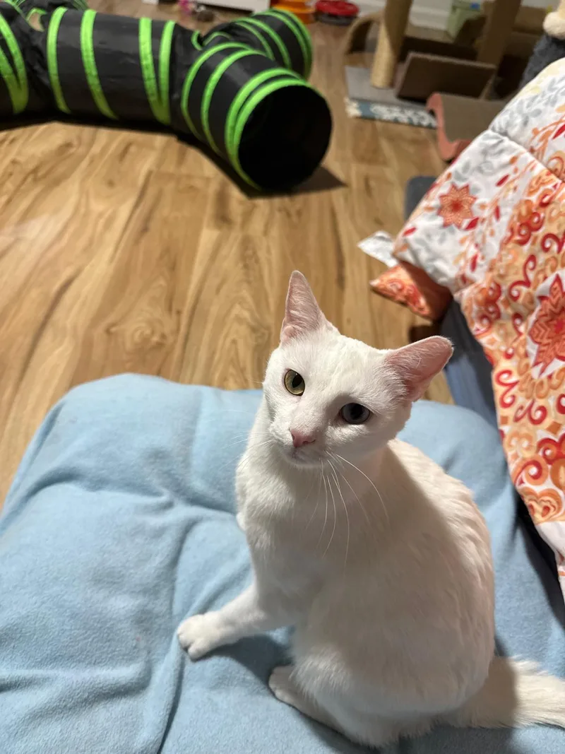 Airy (bonded with Tai) thumbnail 7