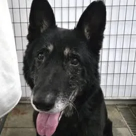 Billy Ray thumbnail 2