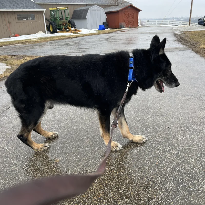 Billy Ray thumbnail 3