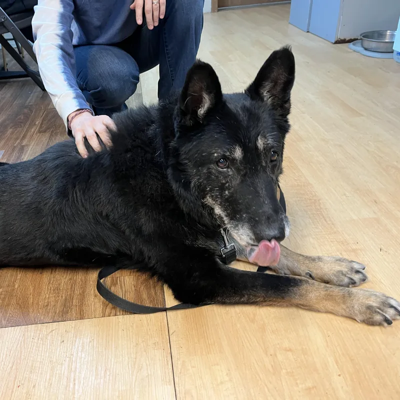 Billy Ray thumbnail 4