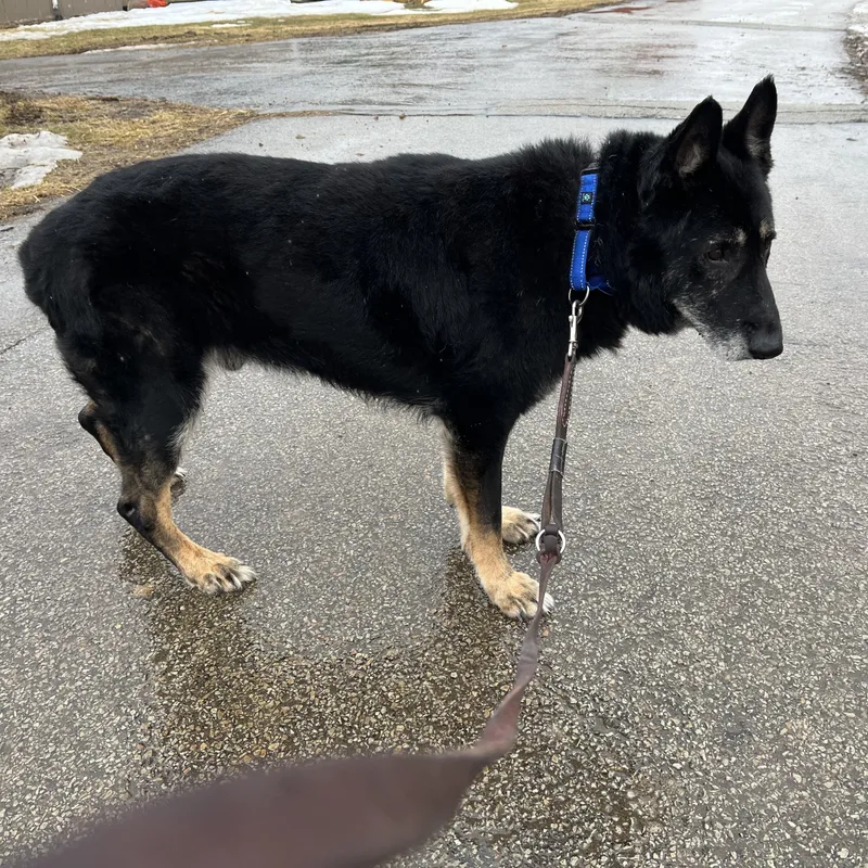 Billy Ray thumbnail 5