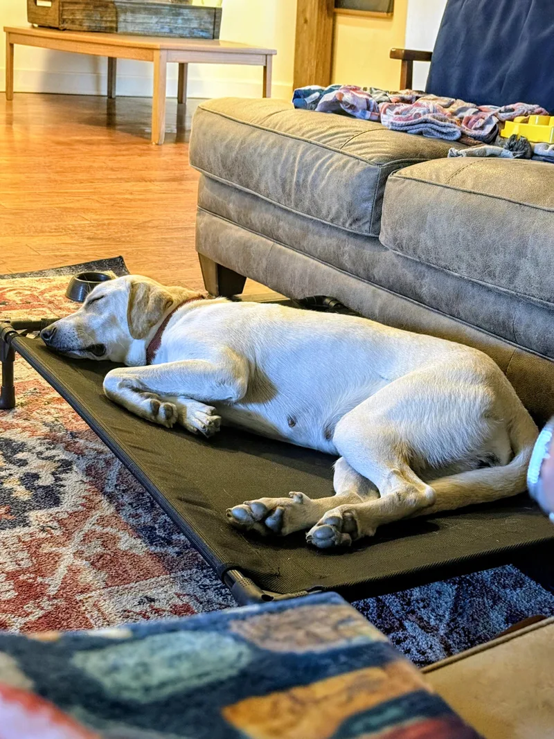 Maggie Mae thumbnail 3