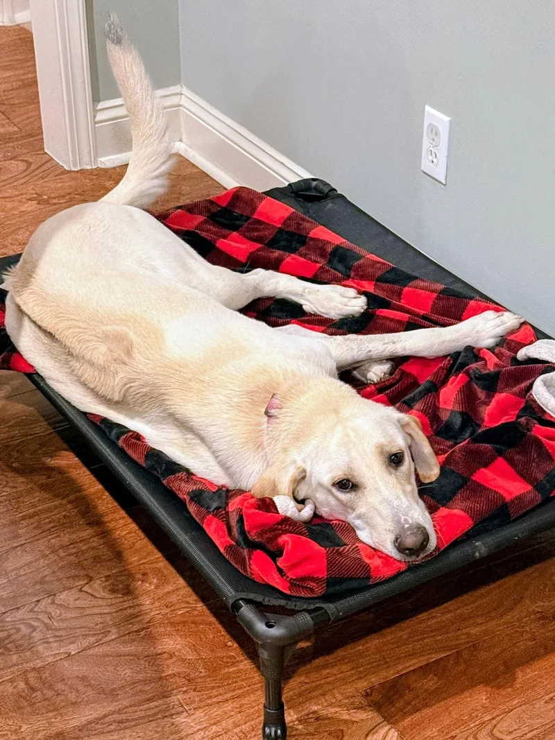 Maggie Mae thumbnail 5