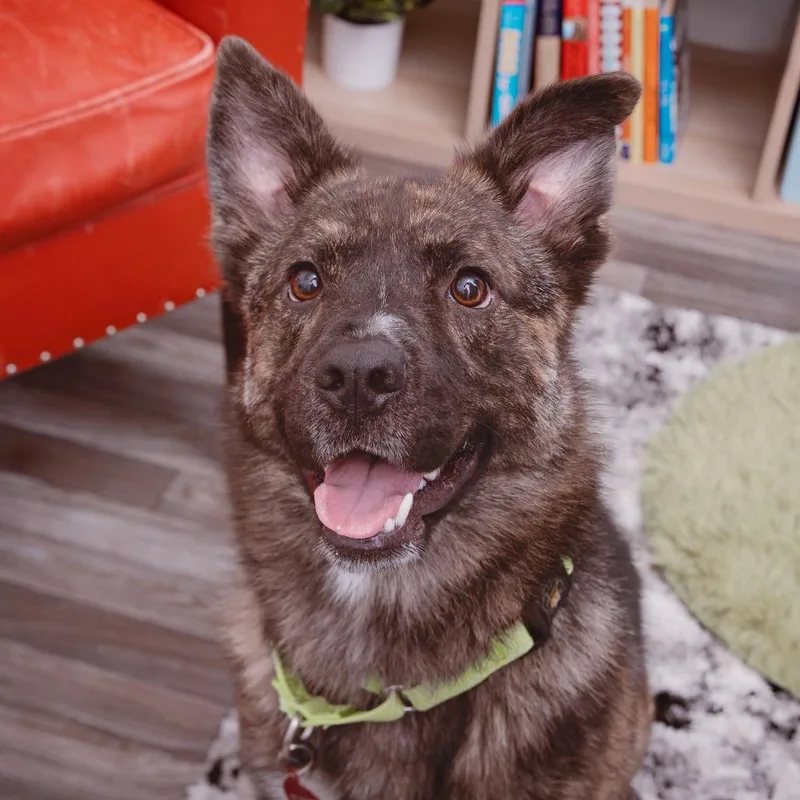 Treasure thumbnail 2