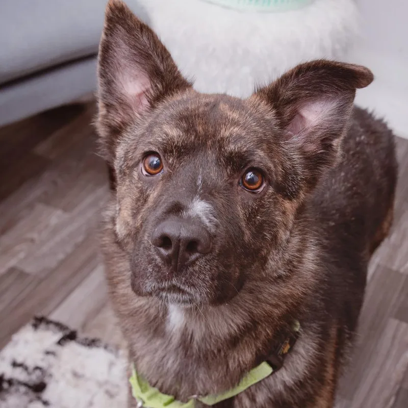 Treasure thumbnail 3