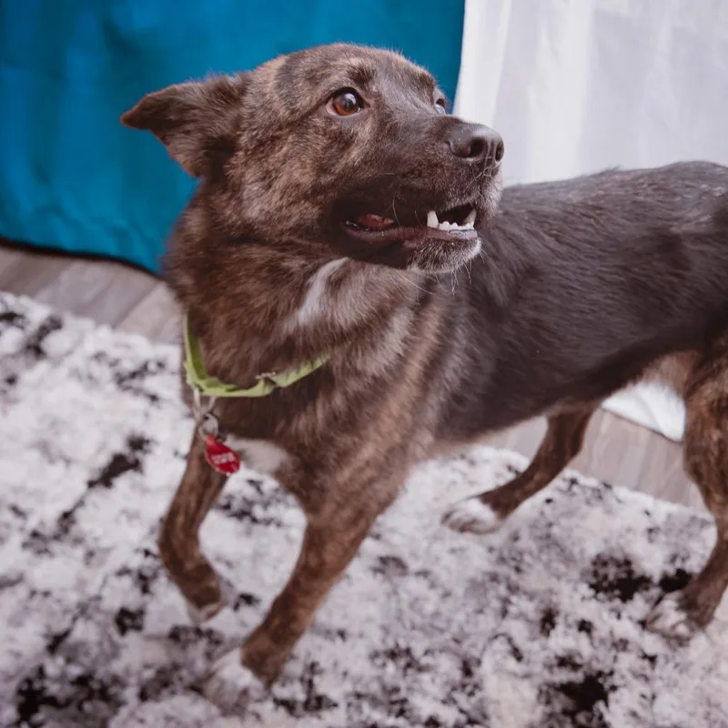 Treasure thumbnail 4