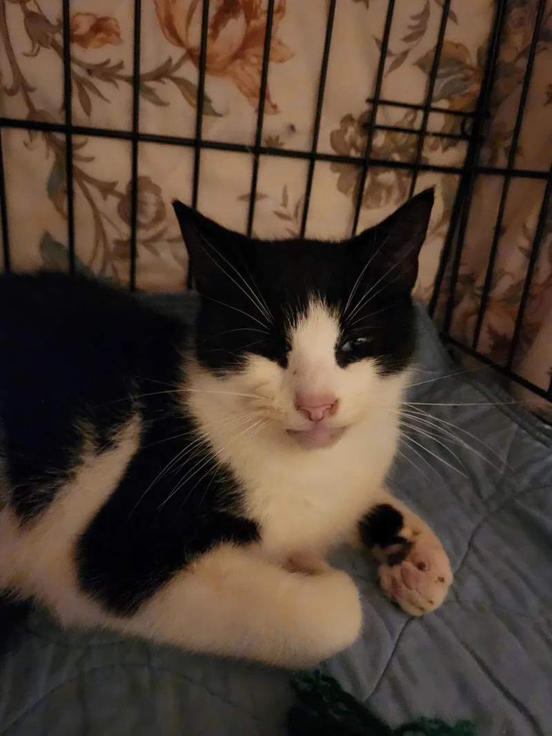 Goldstein thumbnail 4