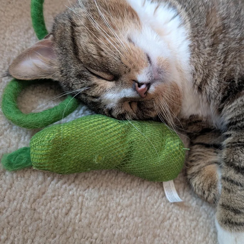 Franklin thumbnail 2