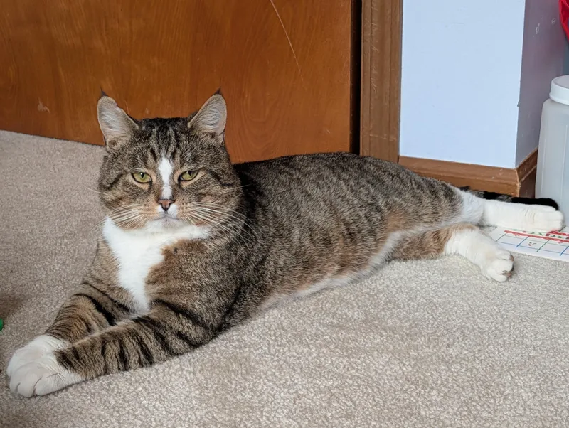 Franklin thumbnail 3