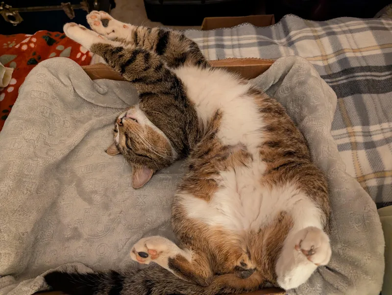 Franklin thumbnail 6