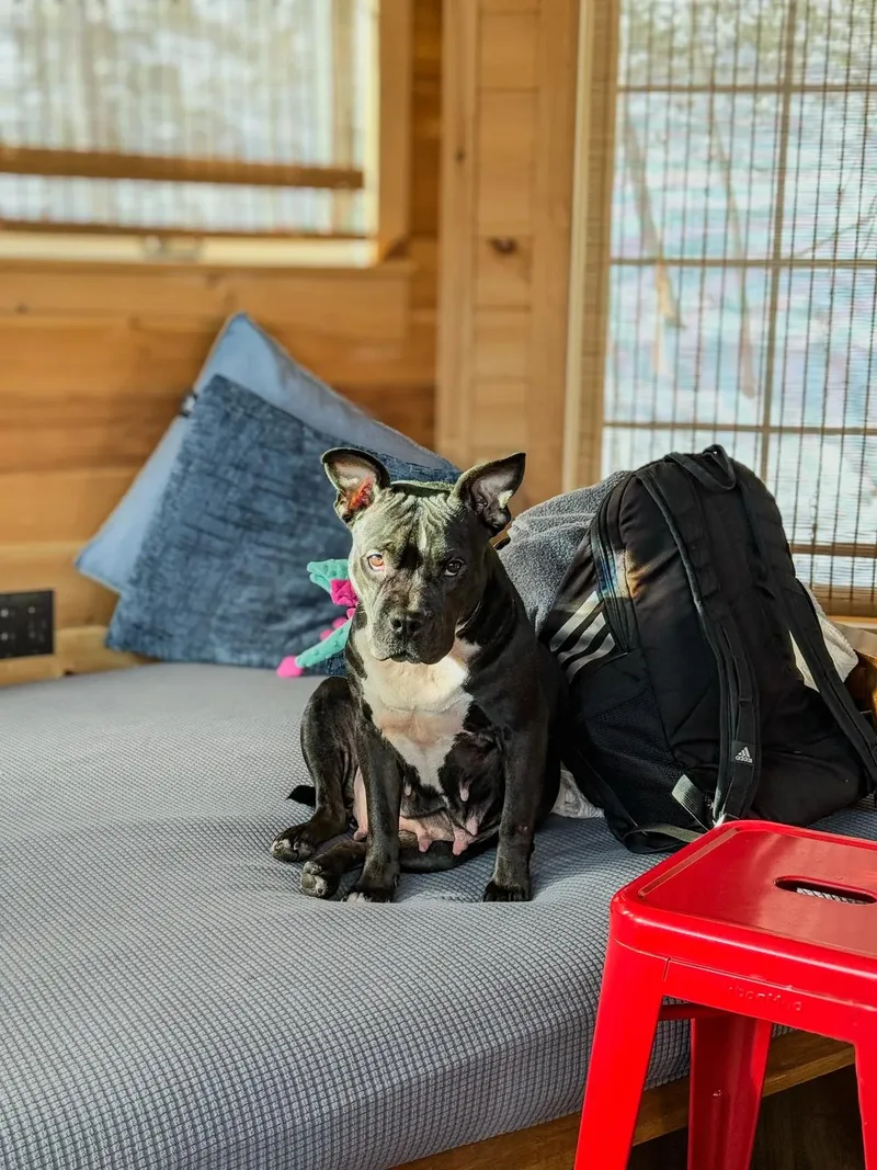 Hazel Grace thumbnail 4