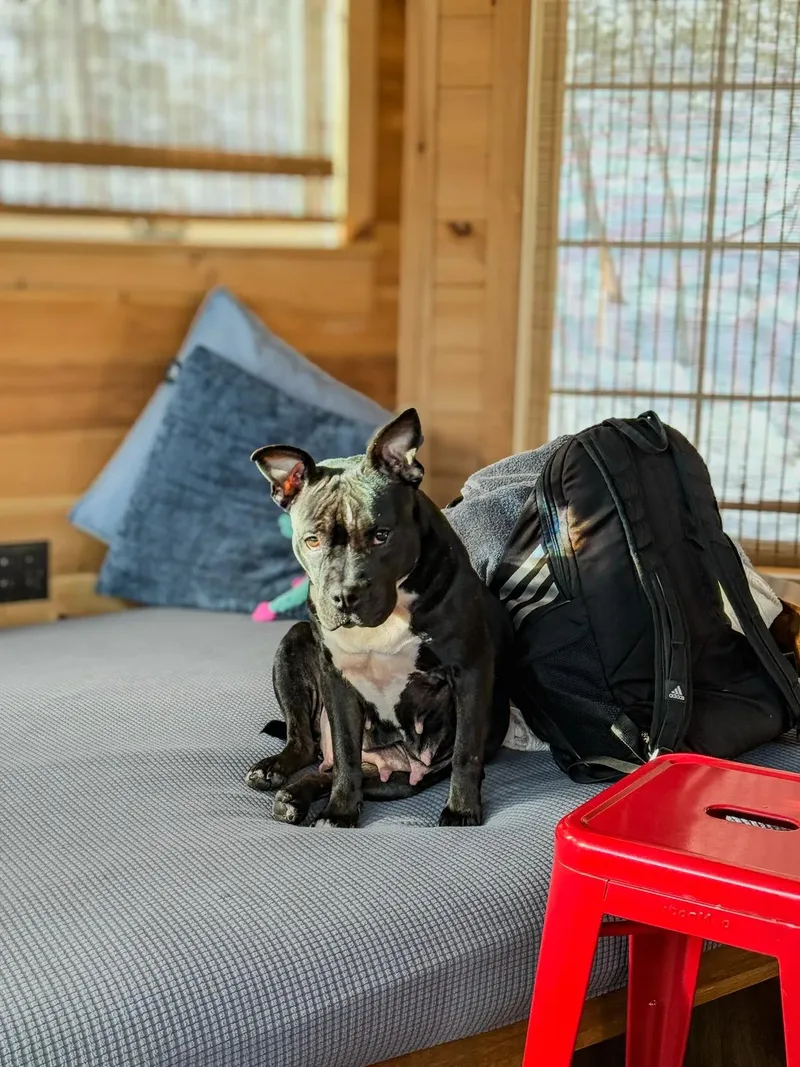 Hazel Grace thumbnail 5