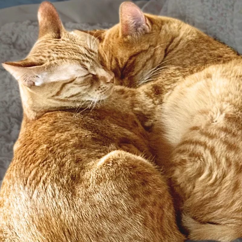 Daisy [and Ben] thumbnail 2