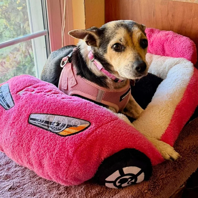 Barbie Young Chimix Perfection thumbnail 2