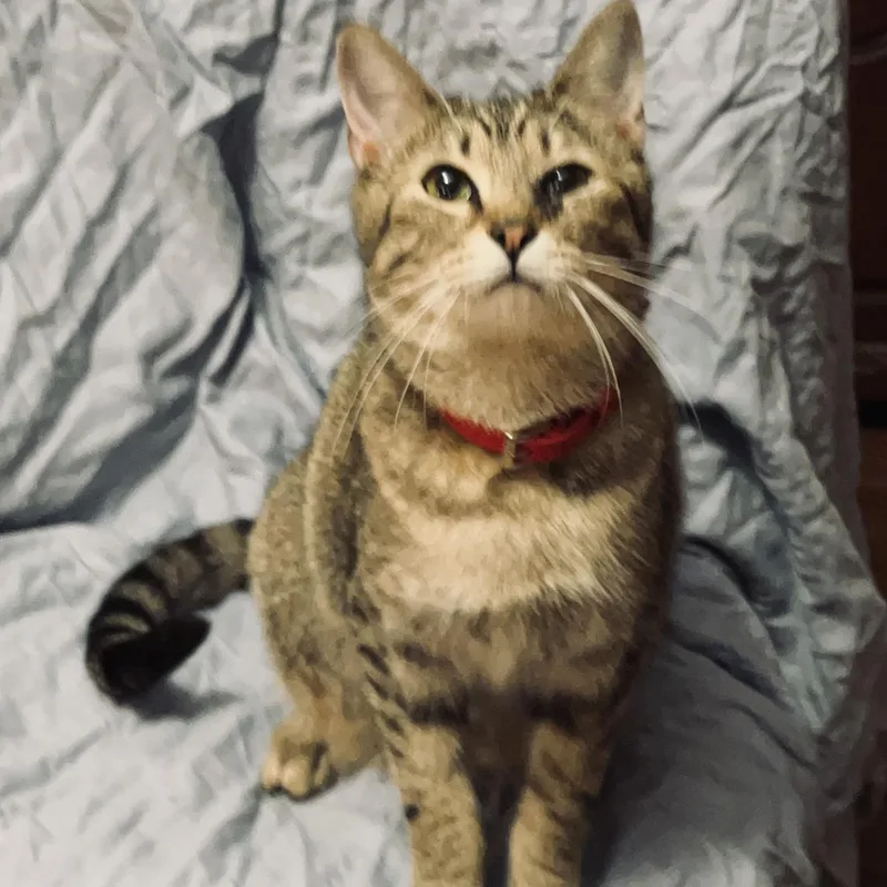 Sugar Baby thumbnail 2