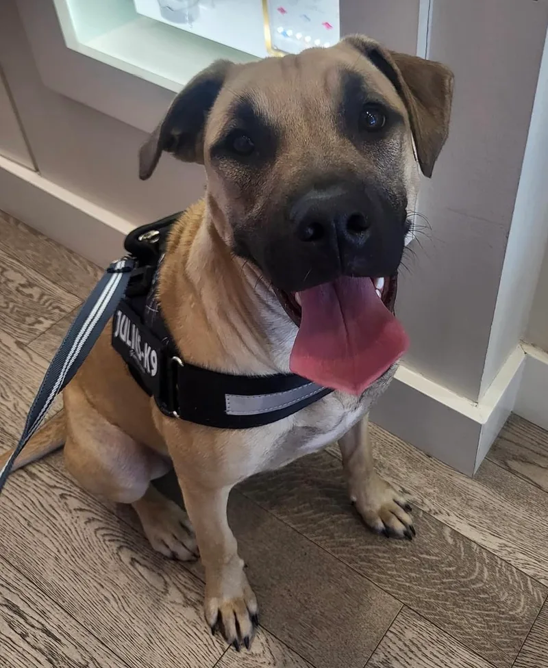 Amaretto thumbnail 2