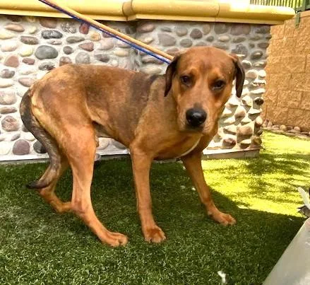 Ember & Bailey thumbnail 2