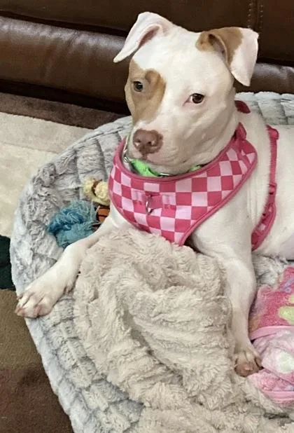 Betty Mighty thumbnail 2