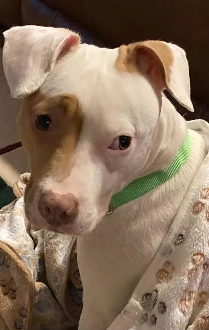 Betty Mighty thumbnail 3