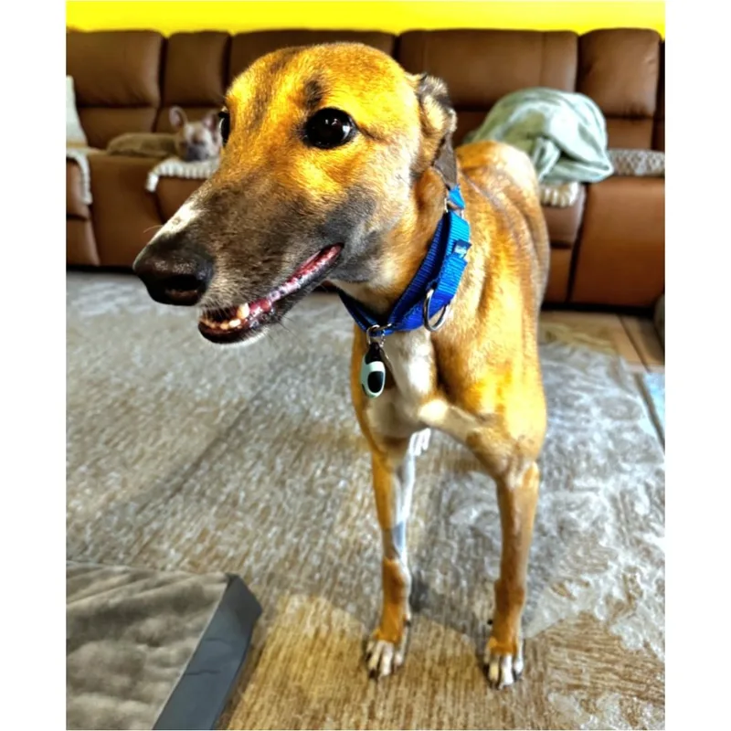 Dancin Margot thumbnail 2