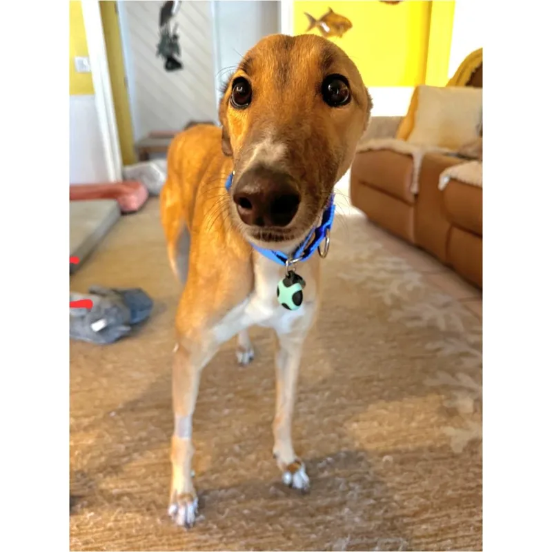 Dancin Margot thumbnail 3