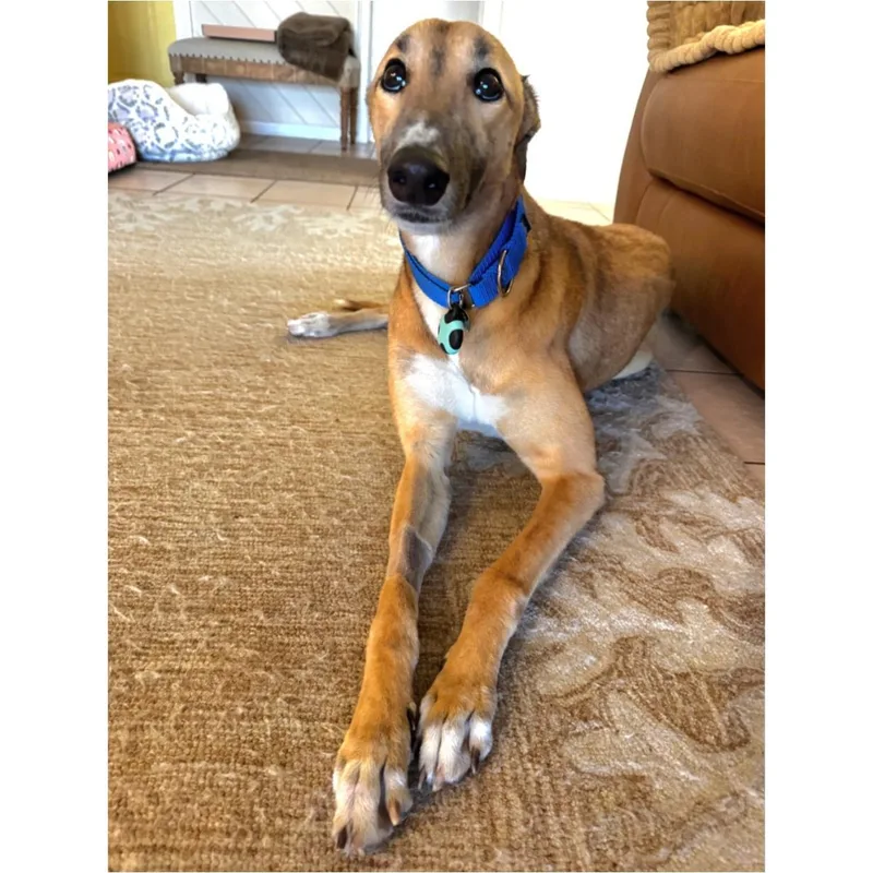 Dancin Margot thumbnail 4