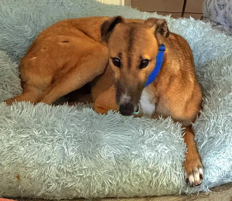 Dancin Margot thumbnail 5