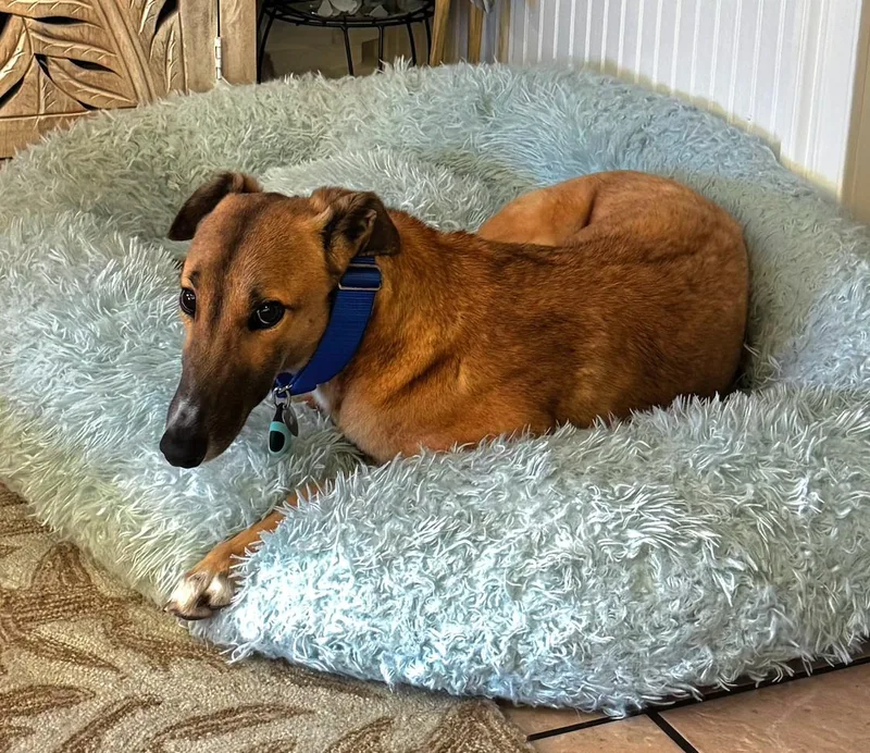 Dancin Margot thumbnail 6