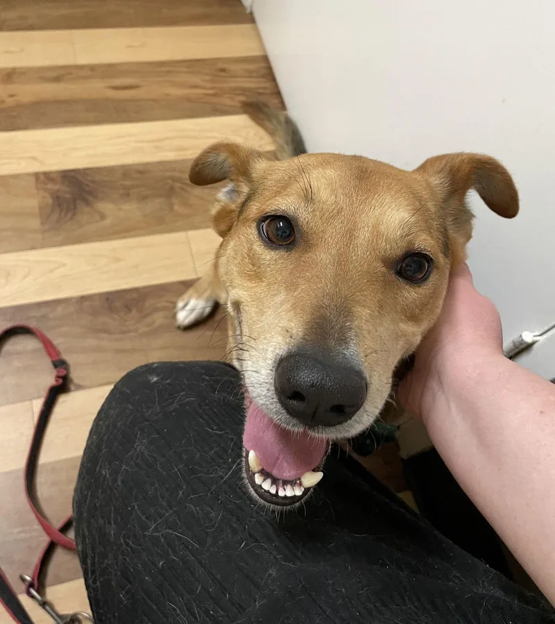 Nano Dumped On Christmas thumbnail 2