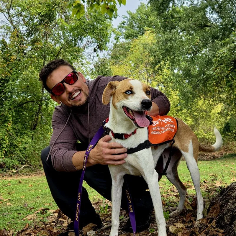 Flounder "scout" thumbnail 6