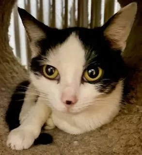 Little Mama thumbnail 2