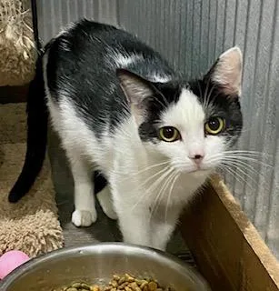 Little Mama thumbnail 3