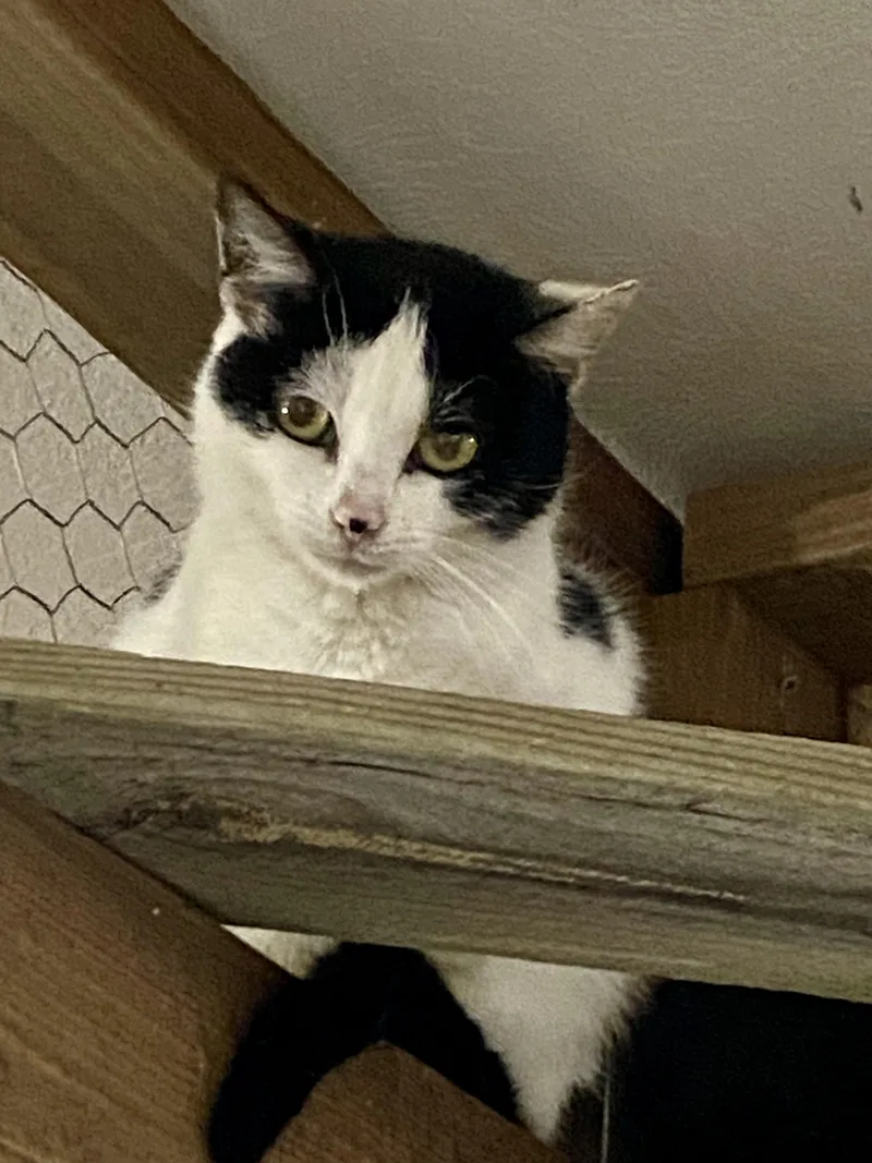 Little Mama thumbnail 4